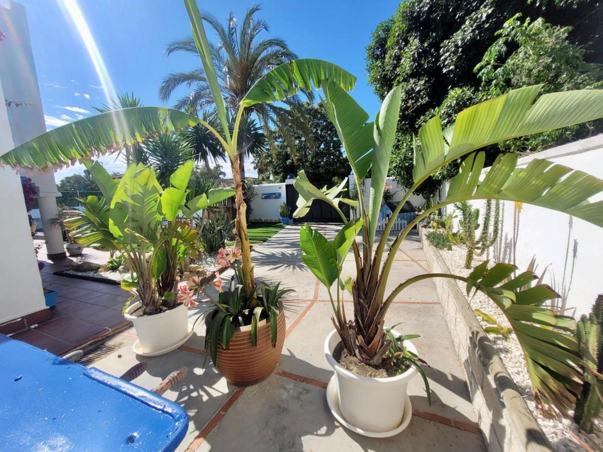 Gatu Lurberri Piscina Privada, 4 Dormitorios, 2 Baños, Parking , Jardín Y Barbacoa * Chiclana de la Frontera